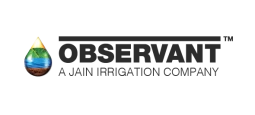  Observant